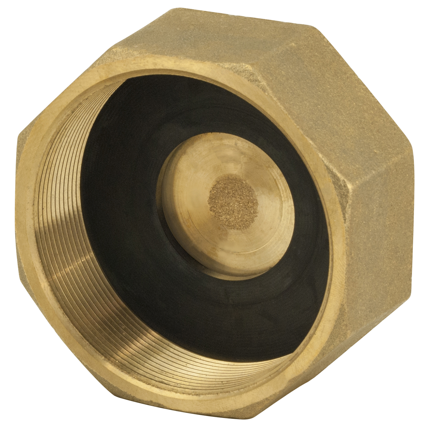 581255                         FORD CAP-2-4-NL 1 CORP END CAP (WILL FIT Q S